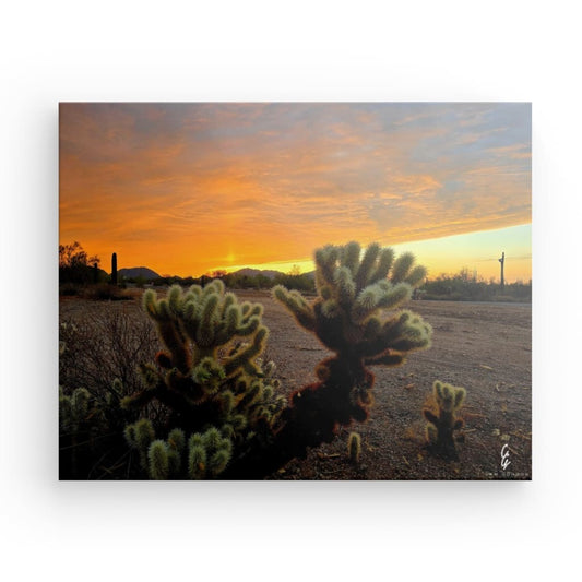 AD.24.010 Canvas