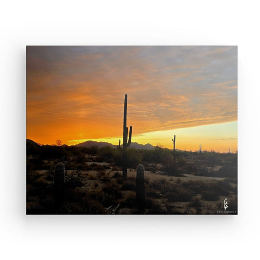 AD.24.011 Canvas
