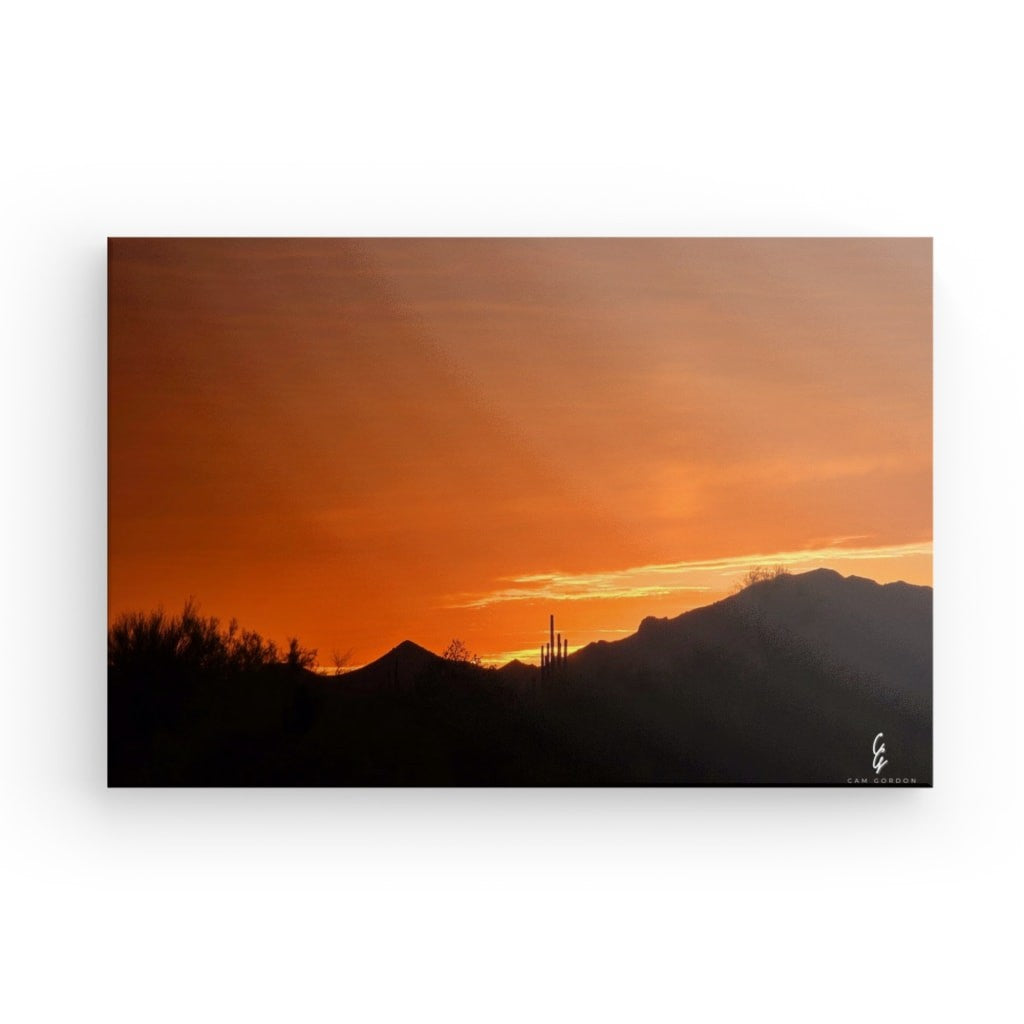 AD.24.014 Canvas