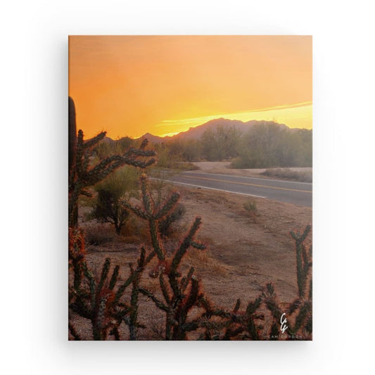 AD.24.015 Canvas