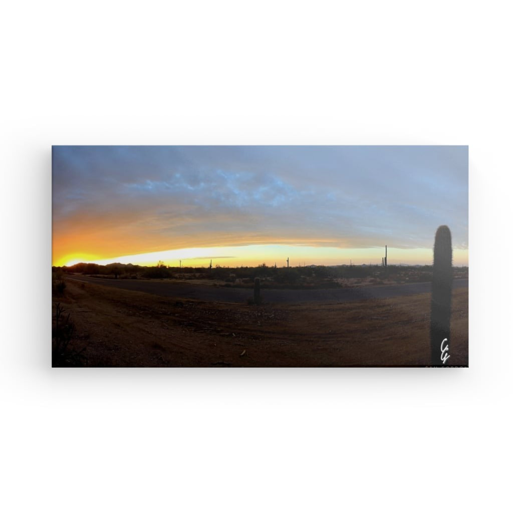 AD.24.016 Canvas