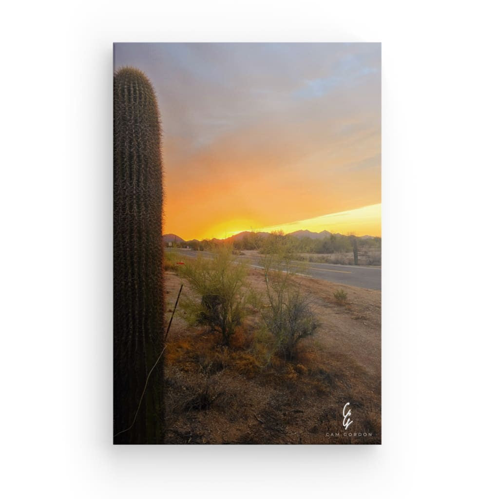 AD.24.017 Canvas
