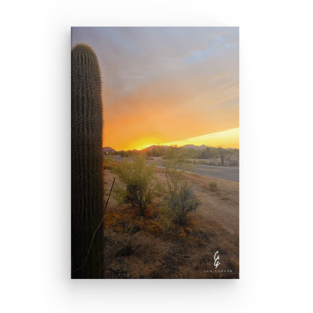 AD.24.017 Canvas