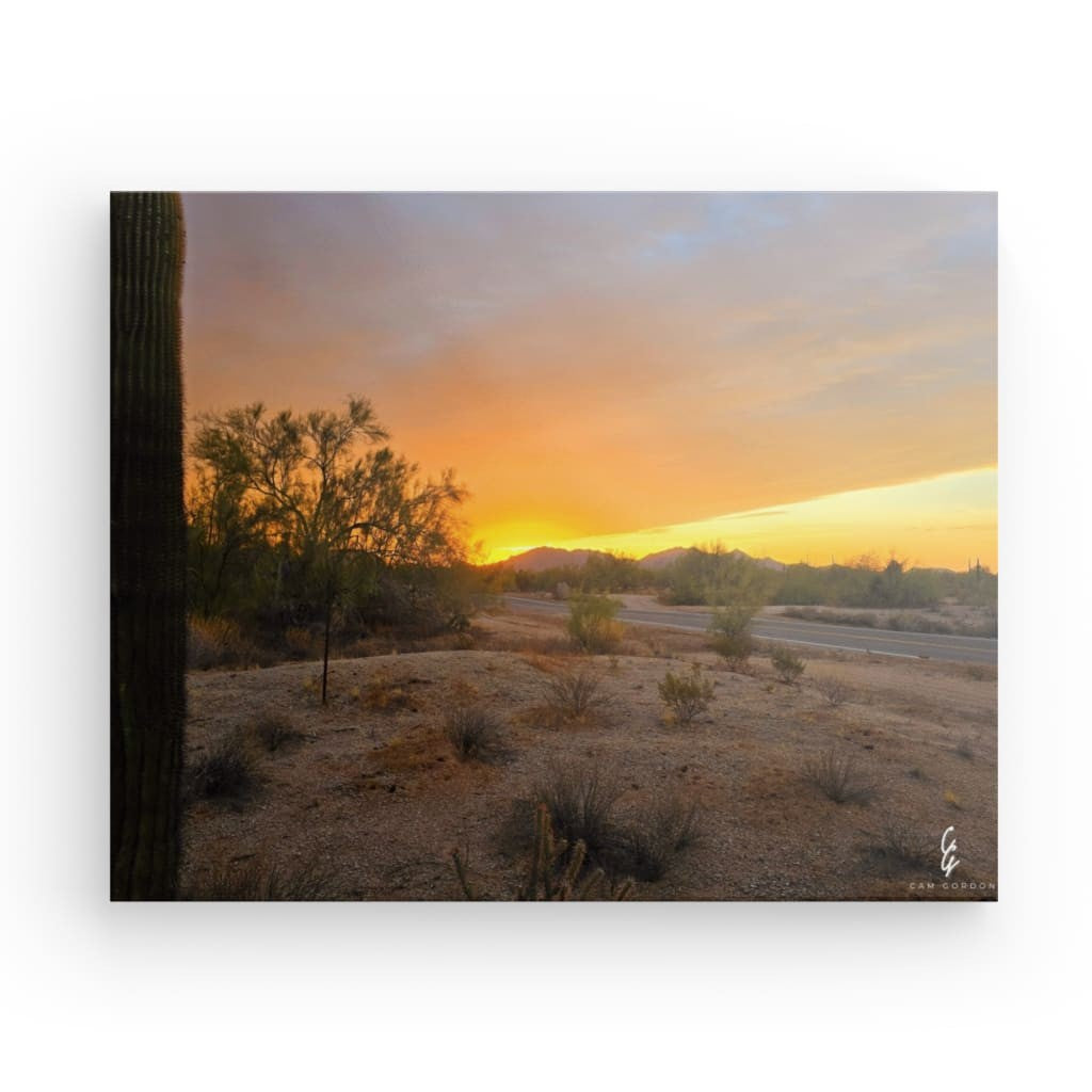 AD.24.018 Canvas