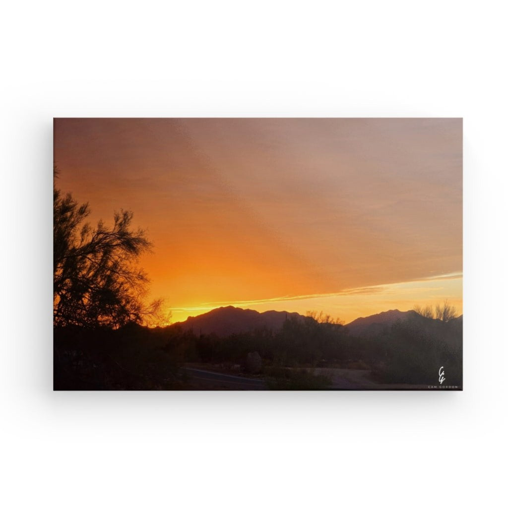 AD.24.019 Canvas