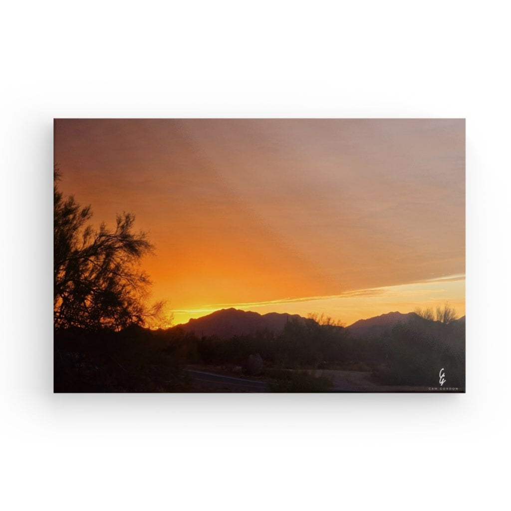 AD.24.019 Canvas
