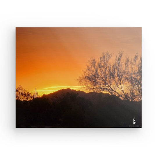 AD.24.023 Canvas