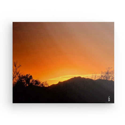 AD.24.024 Canvas