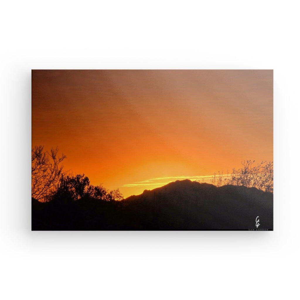 AD.24.024 Canvas