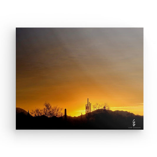 AD.24.025 Canvas