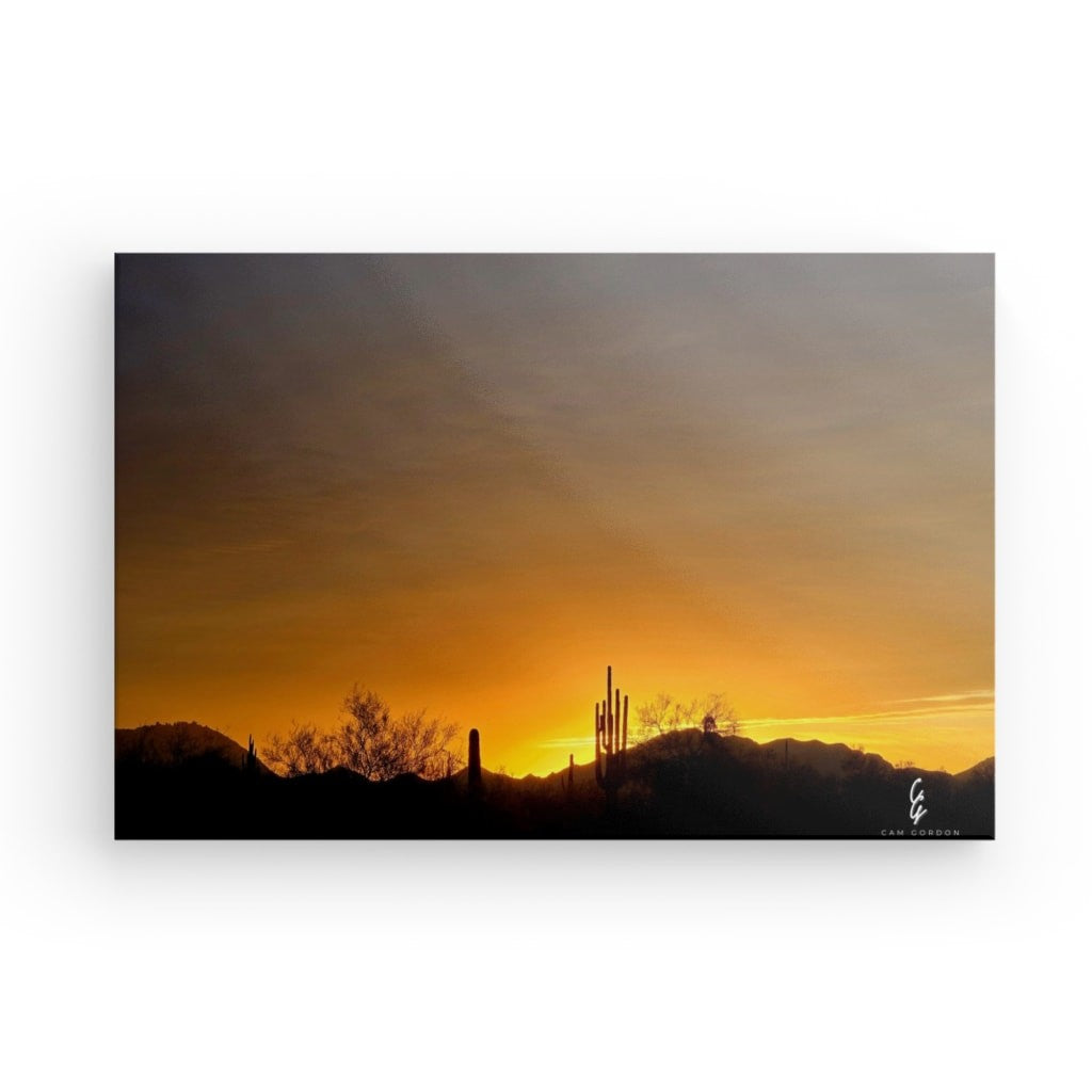 AD.24.025 Canvas