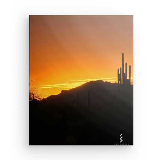 AD.24.026 Canvas