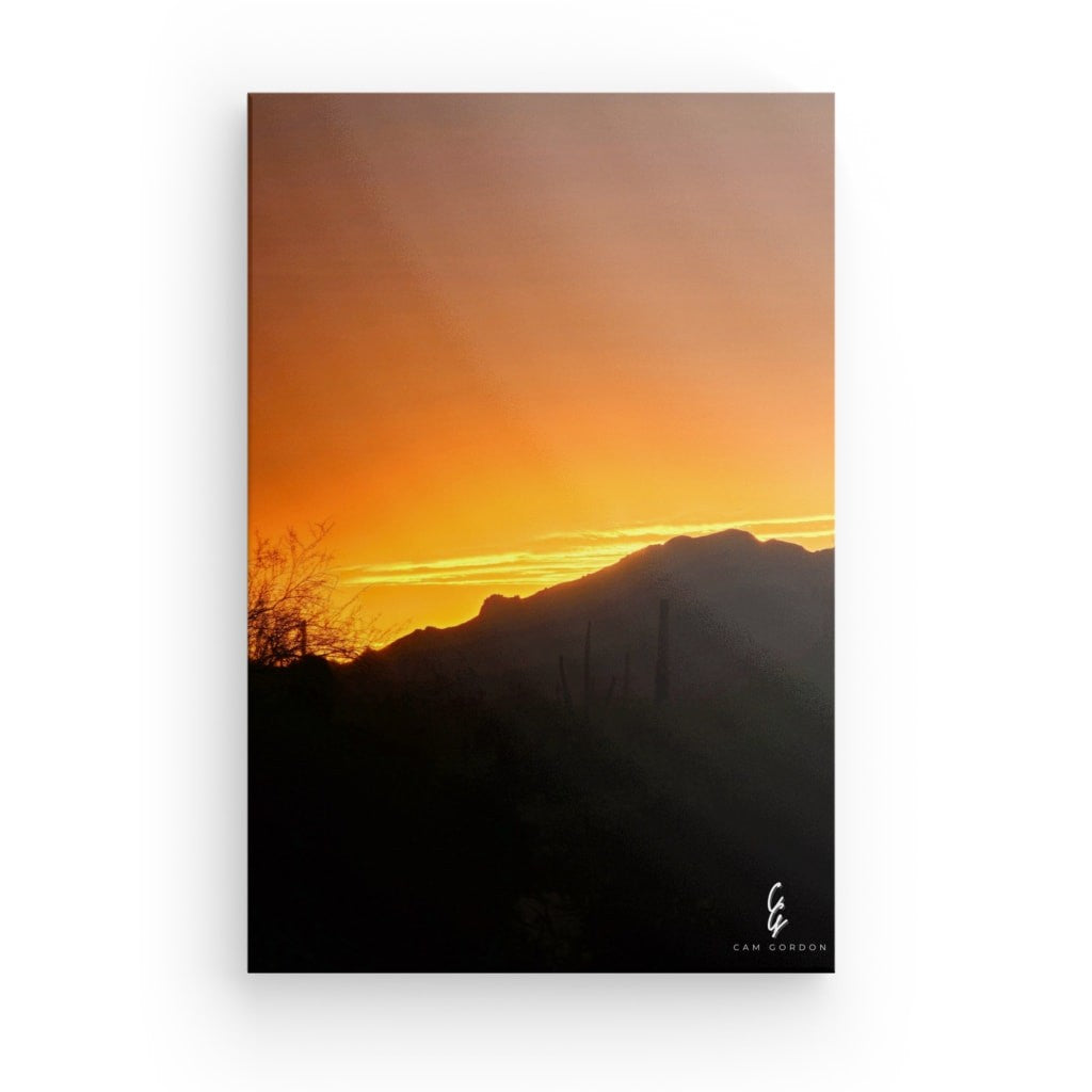 AD.24.026 Canvas