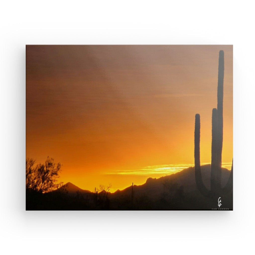 AD.24.027 Canvas