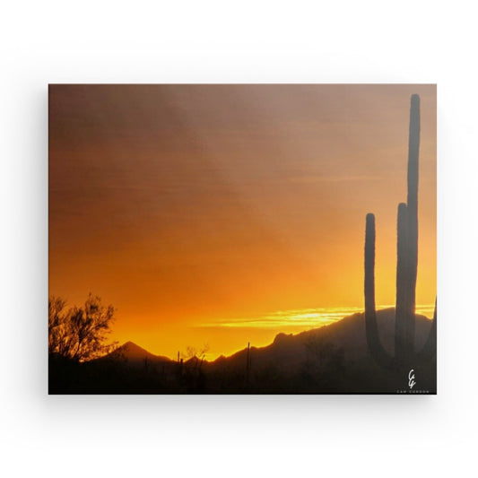 AD.24.027 Canvas