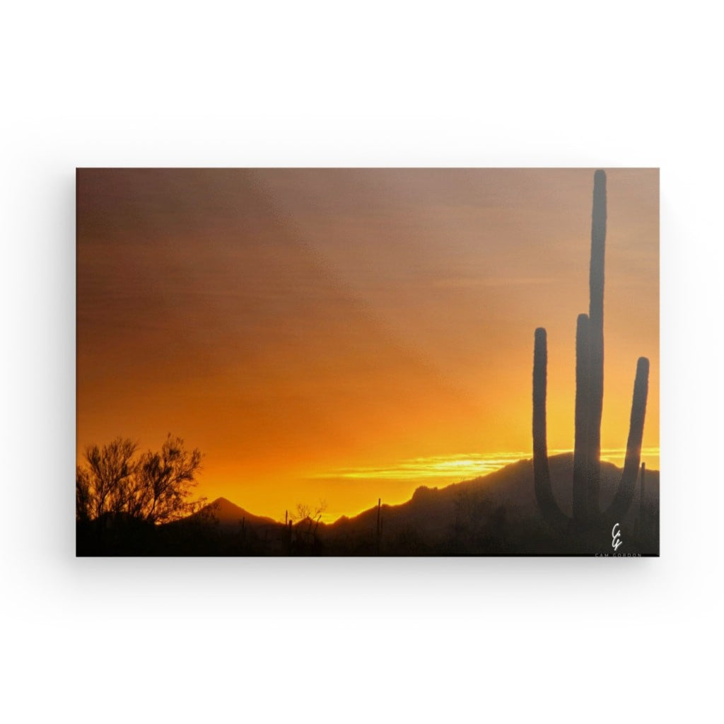 AD.24.027 Canvas