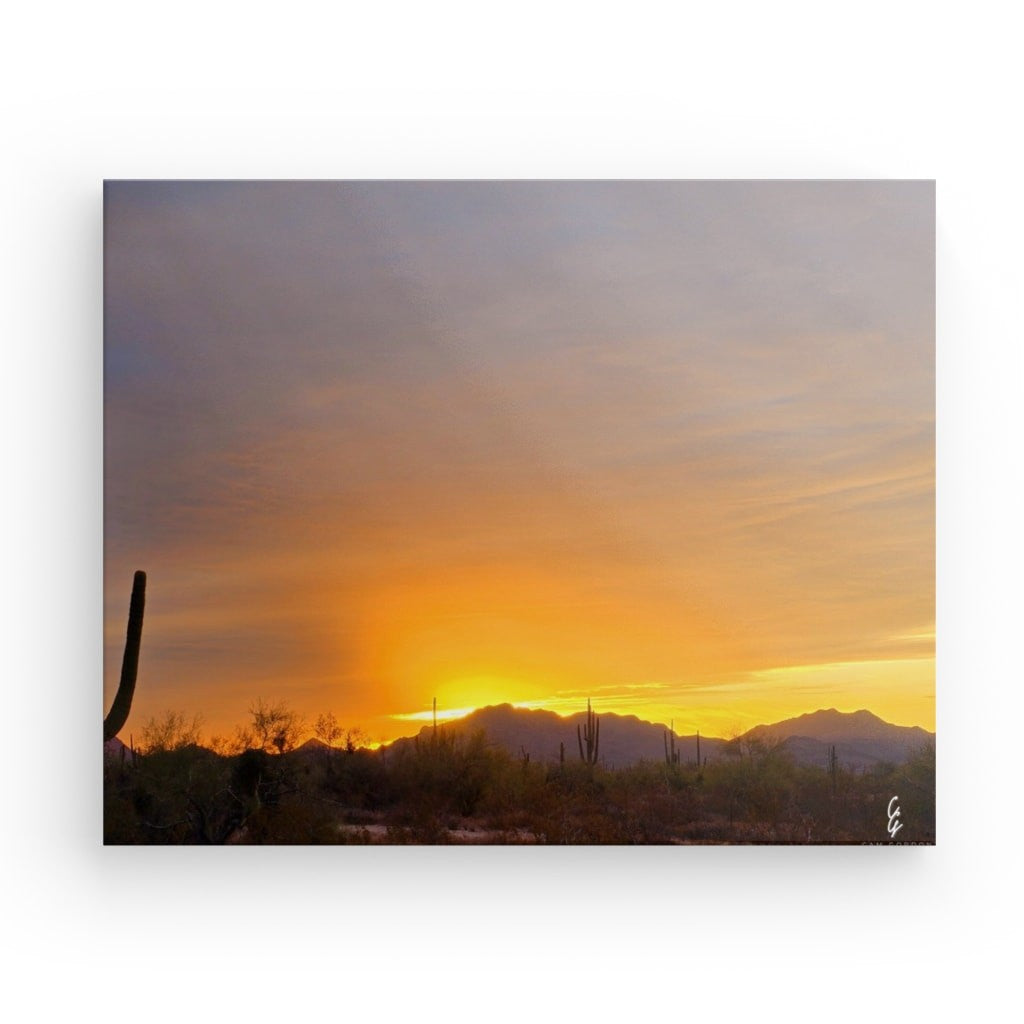 AD.24.029 Canvas