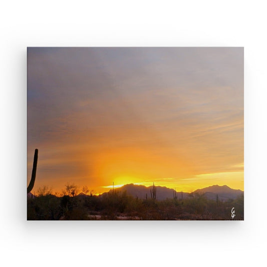 AD.24.029 Canvas