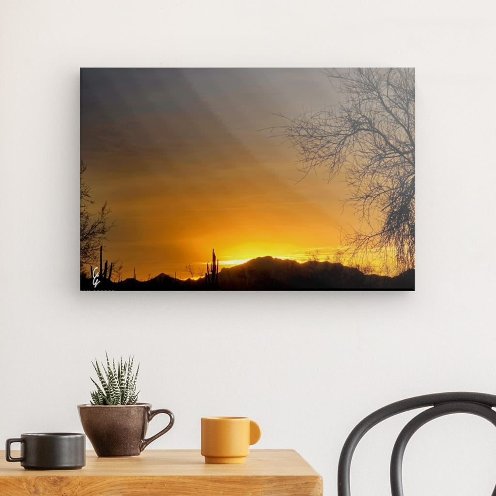 AD.24.030 Canvas