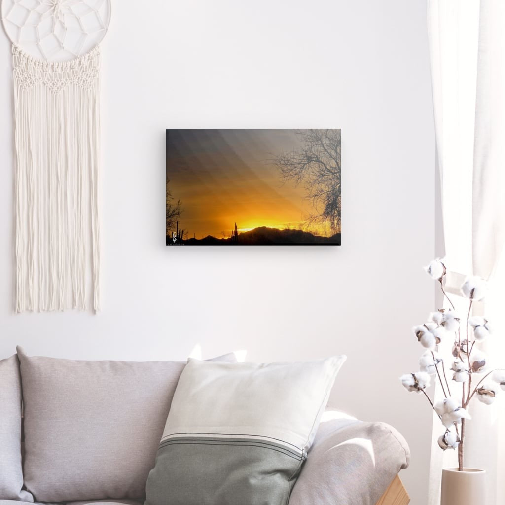 AD.24.030 Canvas