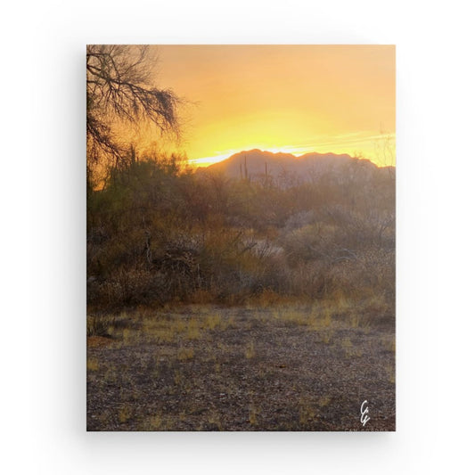 AD.24.031 Canvas