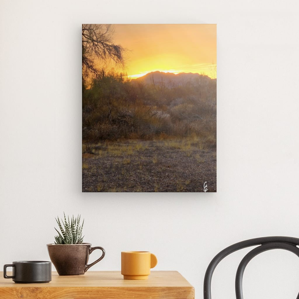 AD.24.031 Canvas