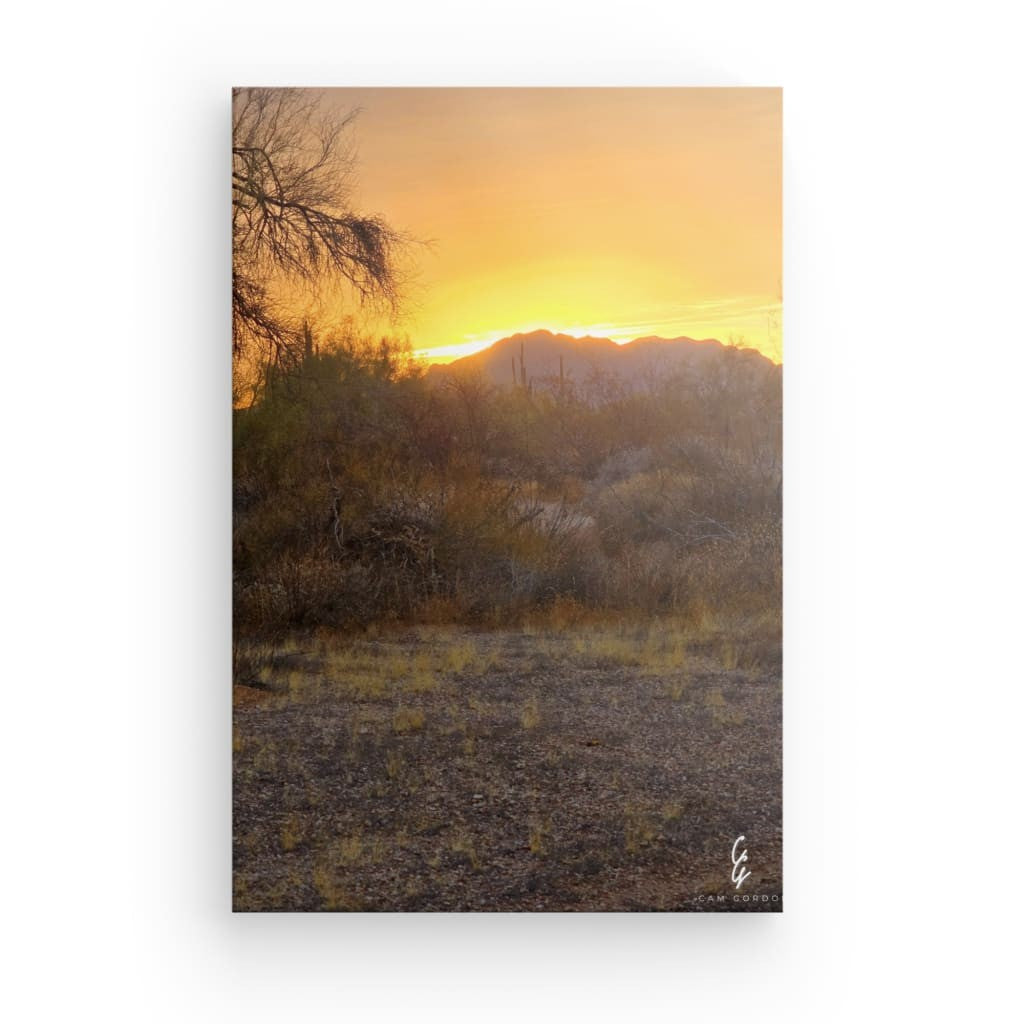 AD.24.031 Canvas