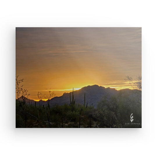 AD.24.034 Canvas