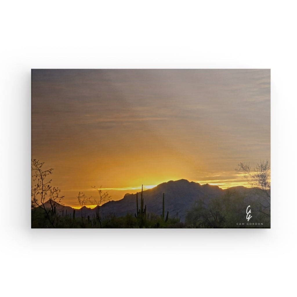 AD.24.034 Canvas