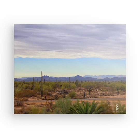 AD.24.038 Canvas