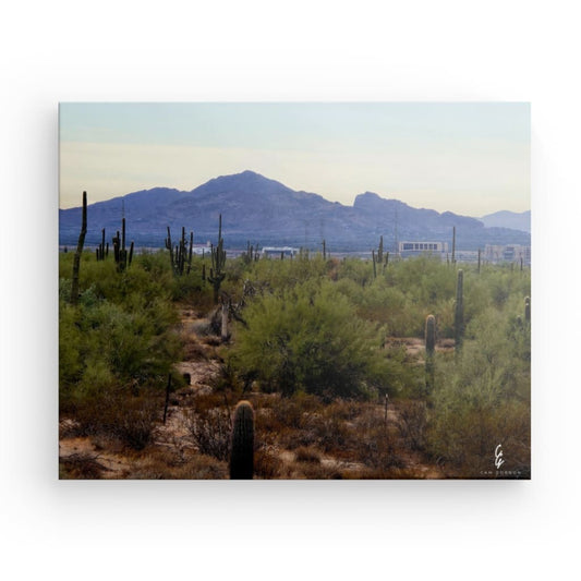 AD.24.039 Canvas