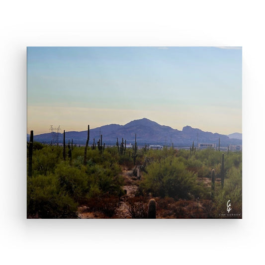 AD.24.040 Canvas