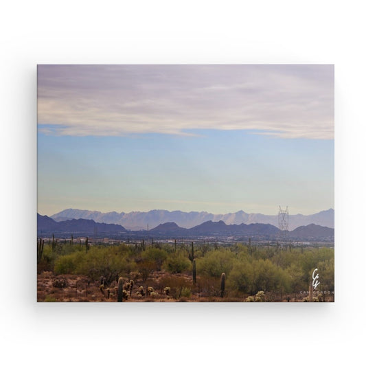AD.24.041 Canvas
