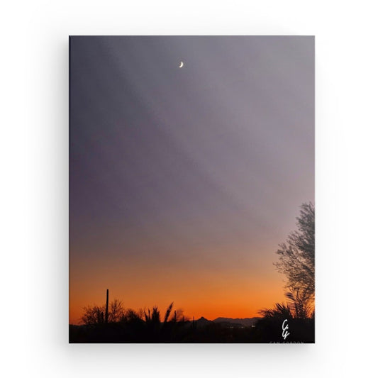 AD.24.042 Canvas