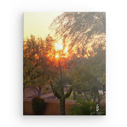 AD.24.044 Canvas