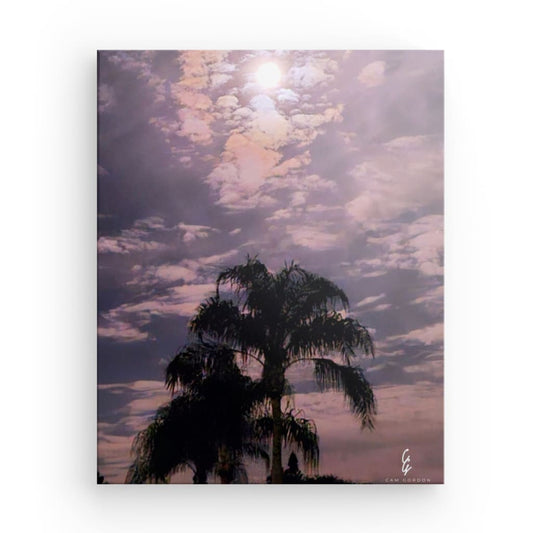 MP.24.001 Canvas