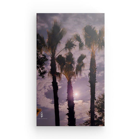 MP.24.002 Canvas