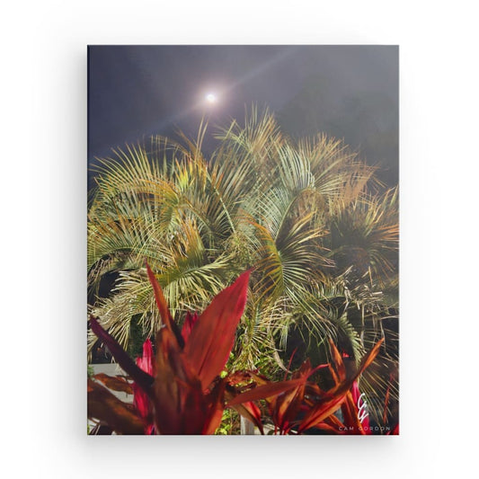 MP.24.005 Canvas