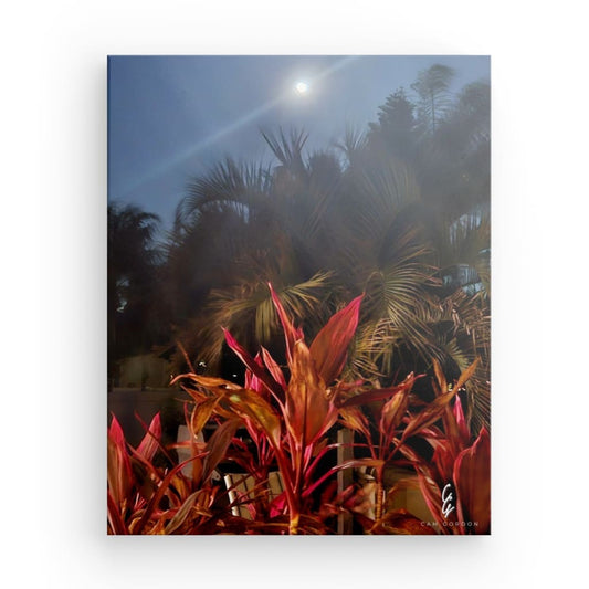 MP.24.006 Canvas