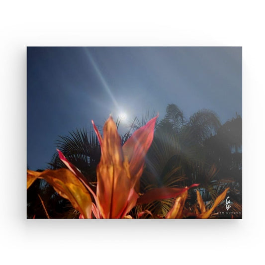 MP.24.007 Canvas