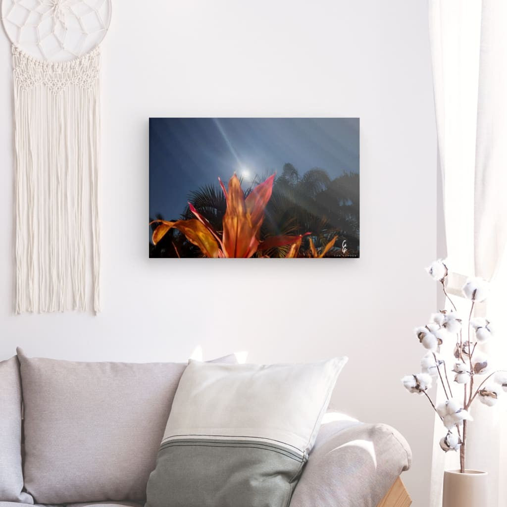 MP.24.007 Canvas
