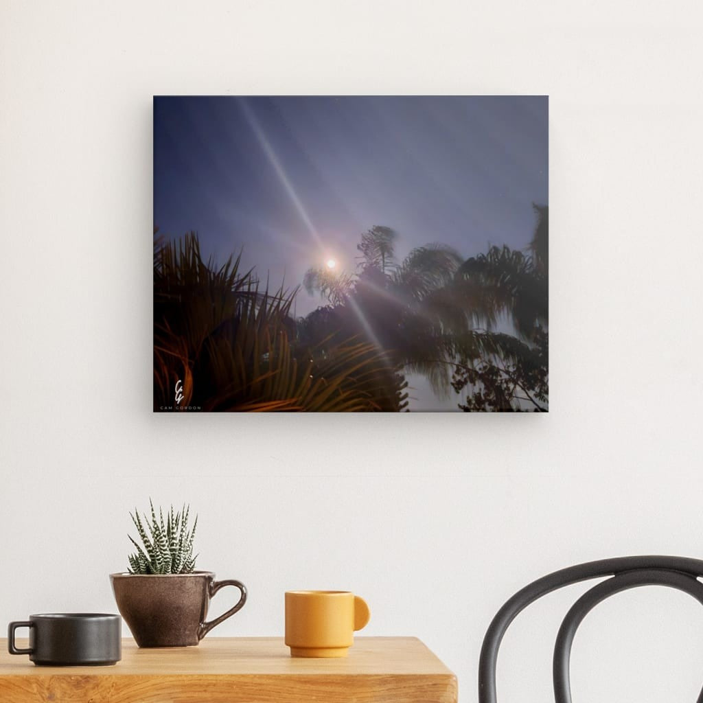 MP.24.008 Canvas