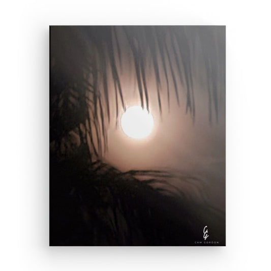 MP.24.010 Canvas