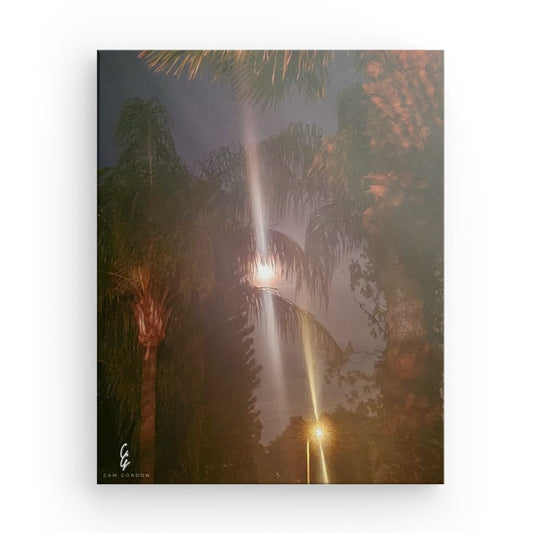 MP.24.011 Canvas