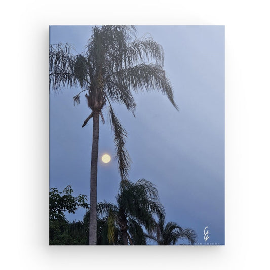 MP.24.012 Canvas