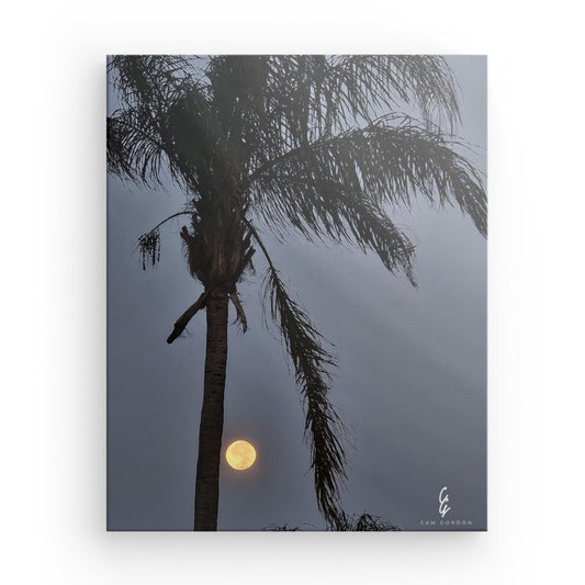 MP.24.013 Canvas