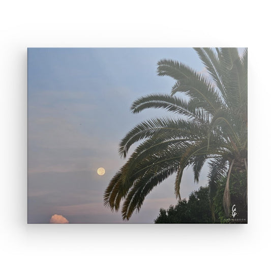 MP.24.014 Canvas