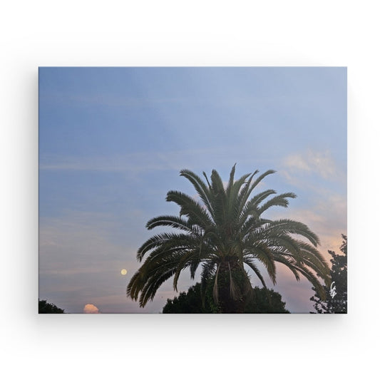 MP.24.015 Canvas