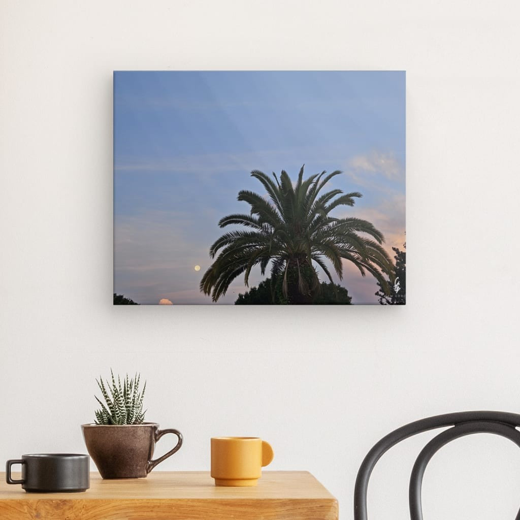 MP.24.015 Canvas