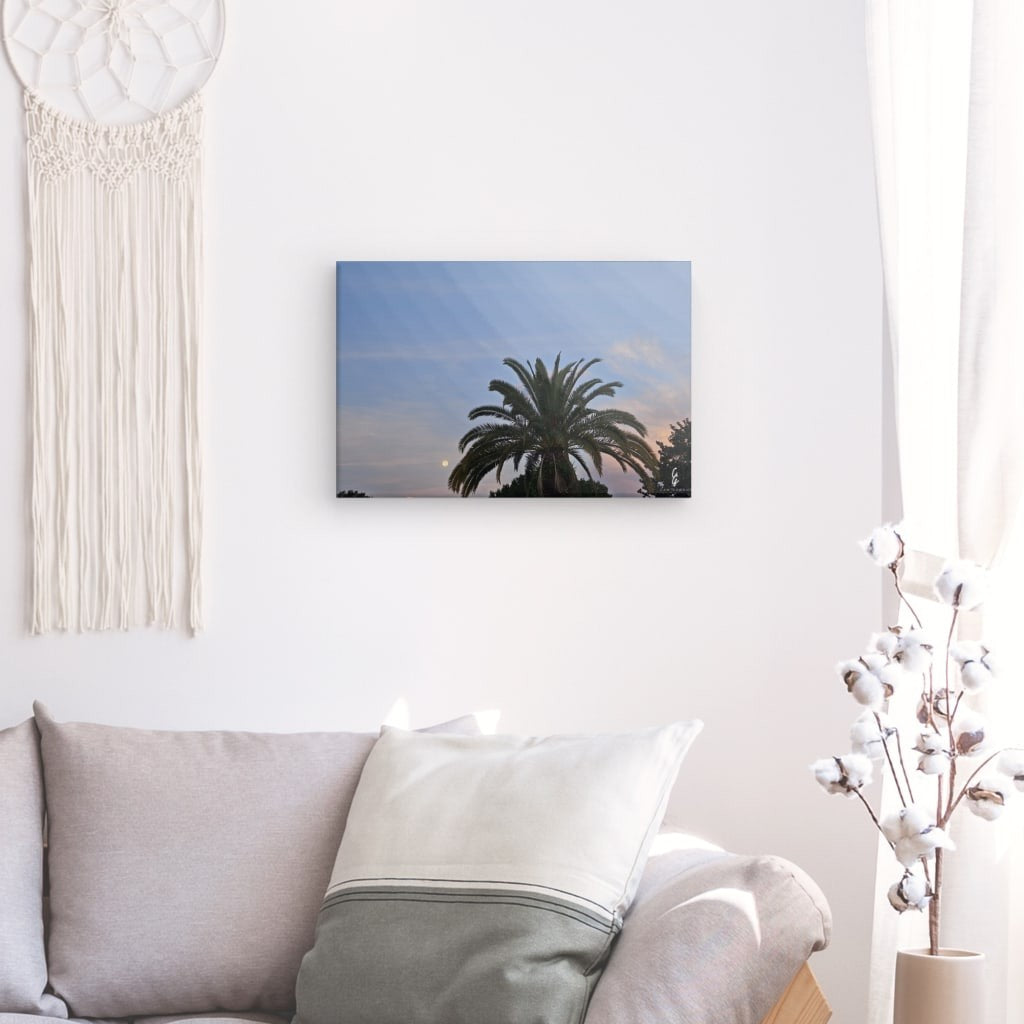 MP.24.015 Canvas